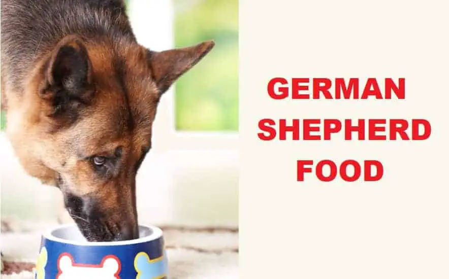 German Shepherd Daily Food Chart