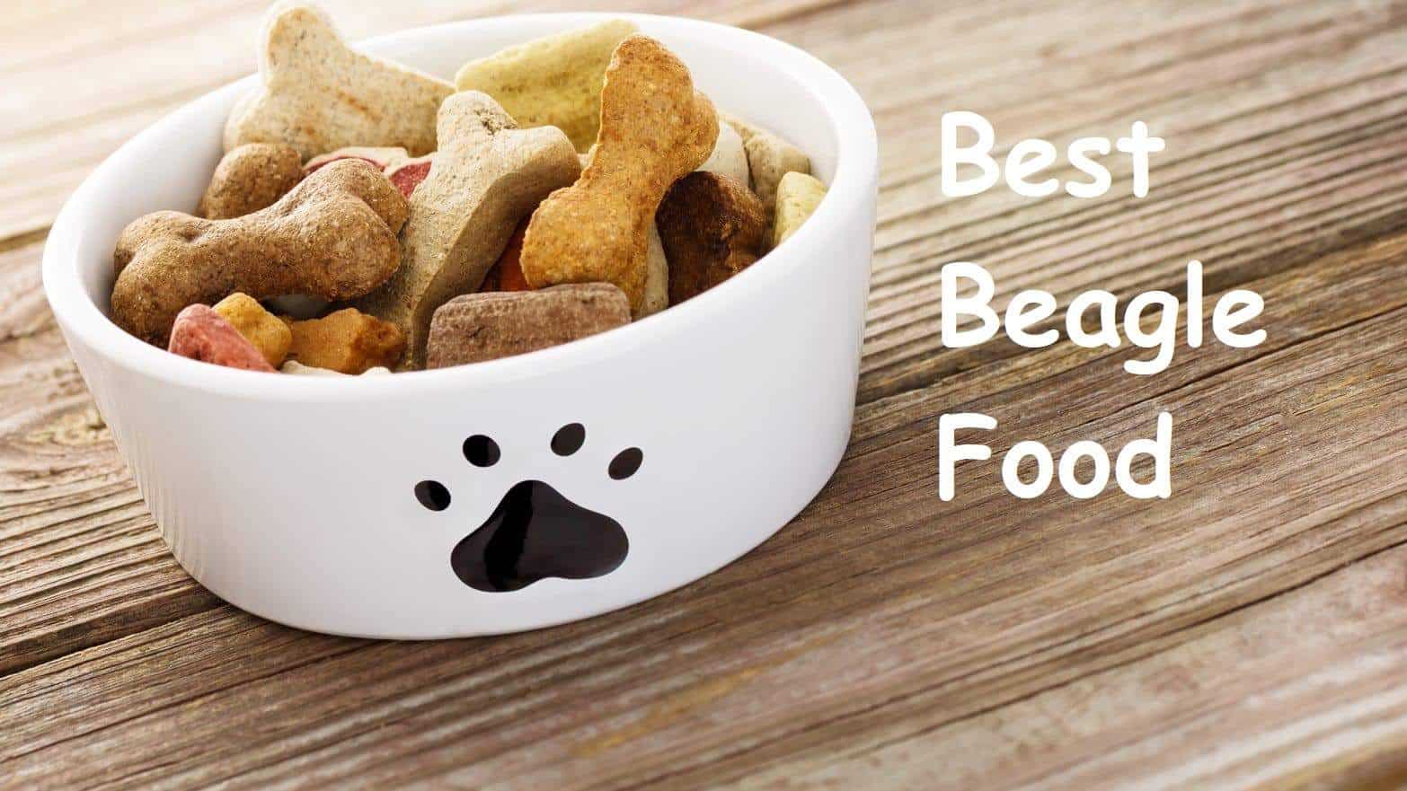 Beagle Food Information: Diet And Chart