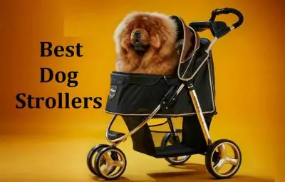 hercules heavy duty dog stroller